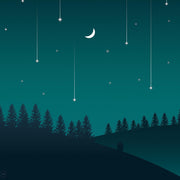 We are made of star stuff Quote Poster - Wolf and Rocket
