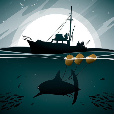 Jaws Movie Poster